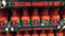 Culley's Habanero Hot Sauce 330ML | Fairdinks