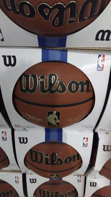 Wilson NBA Signature Series Basketball and Pump | Fairdinks