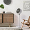 Woozoo 360 Pedestal Fan With Remote STF-360DC-N | Fairdinks