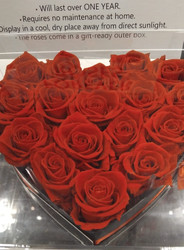 Preserved Roses Heart Box | Fairdinks