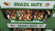 Brazil Nuts 800G | Fairdinks