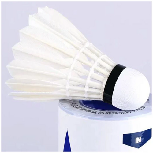 Victor Lark Ace Shuttlecock 12 pack | Fairdinks