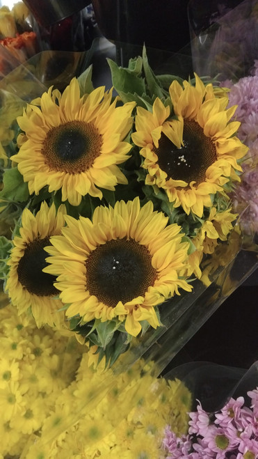 Grower's Bunch - Sunflowers | Fairdinks