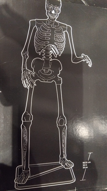 Animated Skeleton Greeter 185CM / 6 FT | Fairdinks