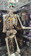 Animated Skeleton Greeter 185CM / 6 FT | Fairdinks