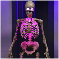 Animated Skeleton Greeter 185CM / 6 FT | Fairdinks