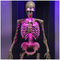 Animated Skeleton Greeter 185CM / 6 FT | Fairdinks