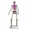Animated Skeleton Greeter 185CM / 6 FT | Fairdinks