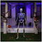 Animated Skeleton Greeter 185CM / 6 FT | Fairdinks