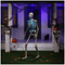 Animated Skeleton Greeter 185CM / 6 FT | Fairdinks