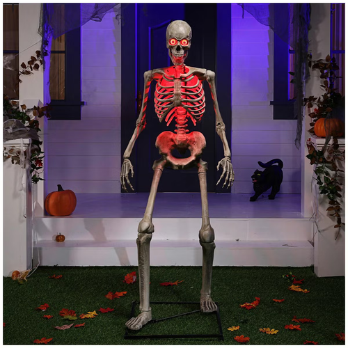 Animated Skeleton Greeter 185CM / 6 FT | Fairdinks