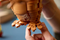 Lego Lego Ideas 21370 E.T. The Extra-Terrestrial | Fairdinks