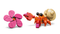 Lego - Disney Pua | Fairdinks