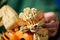 Lego Pokemon Arcanine 72160 | Fairdinks
