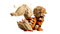 Lego Pokemon Arcanine 72160 | Fairdinks
