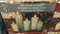LED Glass Candles Set of 5 - Green | Fairdinks