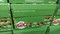 Nestle Aero Peppermint 24 x 40G | Fairdinks