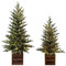 Pre-Lit Pine Tree Set of 2 91CM/3FT & 122CM/4FT | Fairdinks Pre-Lit Pine Tree Set of 2 91CM/3FT & 122CM/4FT | Fairdinks