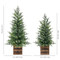 Pre-Lit Pine Tree Set of 2 91CM/3FT & 122CM/4FT | Fairdinks Pre-Lit Pine Tree Set of 2 91CM/3FT & 122CM/4FT | Fairdinks