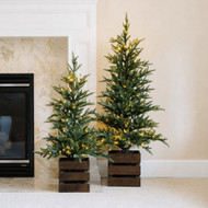 Pre-Lit Pine Tree Set of 2 91CM/3FT & 122CM/4FT | Fairdinks