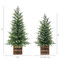 Pre-Lit Pine Tree Set of 2 91CM/3FT & 122CM/4FT | Fairdinks Pre-Lit Pine Tree Set of 2 91CM/3FT & 122CM/4FT | Fairdinks