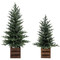 Pre-Lit Pine Tree Set of 2 91CM/3FT & 122CM/4FT | Fairdinks Pre-Lit Pine Tree Set of 2 91CM/3FT & 122CM/4FT | Fairdinks