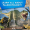 National Geographic Ultimate Dinosaur Dig Kit | Fairdinks National Geographic Ultimate Dinosaur Dig Kit | Fairdinks
