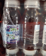 Eastcoast Mini Apple & Blackcurrant Juice 12 x 200ML - 2.4L | Fairdinks