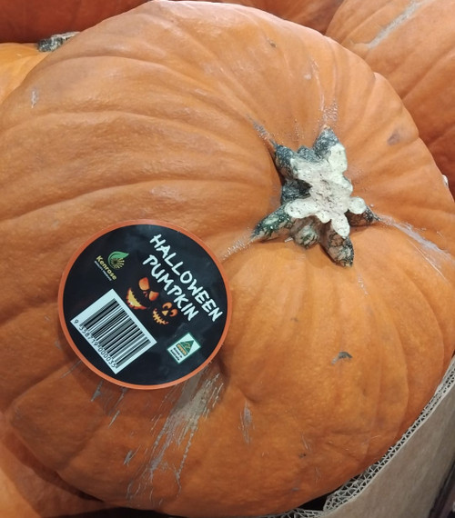 Halloween Pumpkin Each Product of Australia | Fairdinks