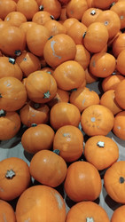 Mini Jack Pumpkin Each Product of Australia | Fairdinks
