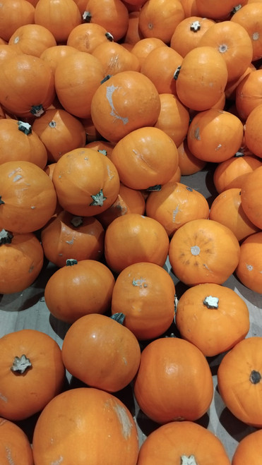 Mini Jack Pumpkin Each Product of Australia | Fairdinks