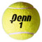Penn Championship Tennis Balls 60 Balls | Fairdinks