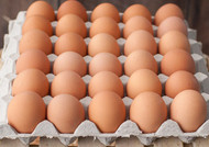 Farm Pride Cage Eggs 30 pack | Fairdinks