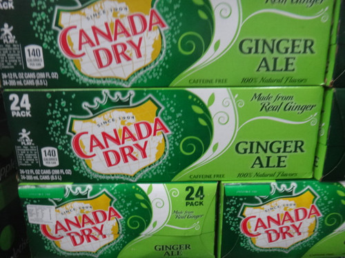 Canada Dry Ginger Ale 24 x 355ml | Fairdinks