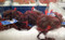 SpringBay Organic Live Australian Mussels 2Kg | Fairdinks