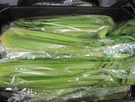 Celery Hearts 2 Pack Product of Australia | Fairdinks
