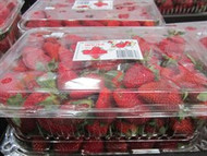 Strawberries 850g | Fairdinks