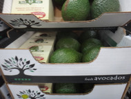 Avocado  5 Pack  Product of Aus and NZ | Fairdinks