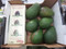 Avocado  5 Pack  Product of Aus and NZ | Fairdinks