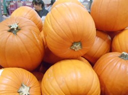 Halloween Pumpkin | Fairdinks