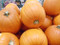 Halloween Pumpkin | Fairdinks