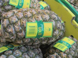 Pineapple (Tops Off) Each Product of Australia | Fairdinks