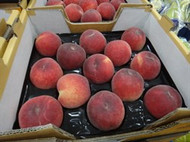 White Peaches 1.5kg Product Of Australia | Fairdinks