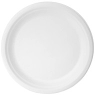 IECO Bagasse Round Dinner Plate 10" (25.4CM) 170 CT | Fairdinks