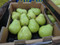 Murray Park William Bartlet Pears 2KG Product of Australia | Fairdinks