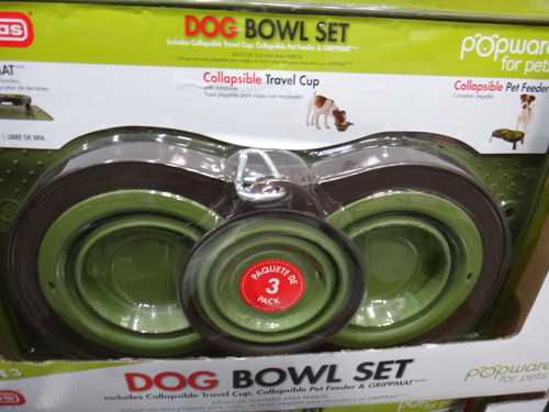 Dexas Collapsible Pet Feeder Fairdinks