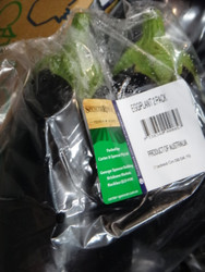 Hothouse Eggplant 2PK Product of Australia | Fairdinks
