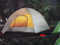 Coleman Instant Dome Tent 5 Person 3M x 2.1M - 2 | Fairdinks