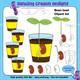 Bean Sprout, Seeds, and Seedlings Clipart