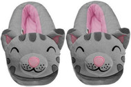 The Big Bang Theory Soft Kitty Gray Slippers